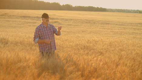 An-elderly-male-farmer-with-a-mustache-holds-a-brush-of-wheat-and-looks-studying-and-analyzing-it.-Rye-in-the-hands-of-a-farmer-at-sunset